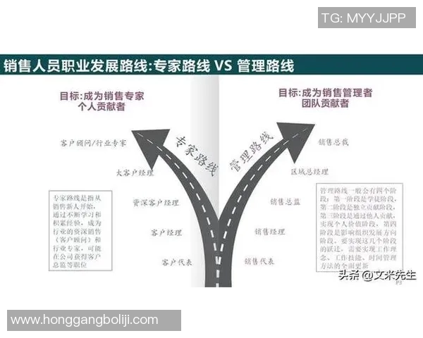 成就驱动下的卓越发展路径与成功实践探索